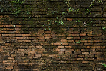 Background wall large texture.