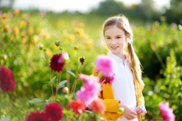Naklejka premium Cute little girl playing in blossoming dahlia field. Child picking fresh flowers in dahlia meadow on sunny summer day