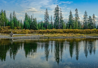 Fototapeta na wymiar Grand Teton National Park, Wyoming, USA - September 18, 2015: Reflection of the trees on the lake with under a blue sky