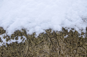 Snow wood texture