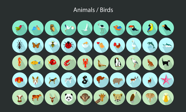JI- Vector Flat icons (Animals, Birds & Insects)