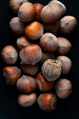 Hazelnuts. Stack of hazelnuts from above. Food background. Hazelnut background. Closeup top view