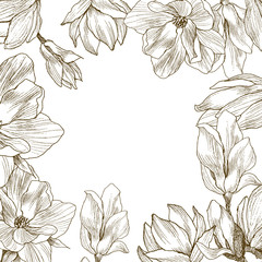 Fototapeta premium Around of flowers, place for text. Magnolia background. Hand drawn nature painting. Freehand sketching illustration