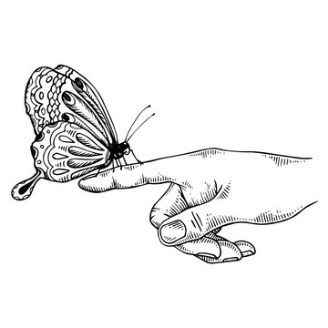 Butterfly on finger engraving vector illustration