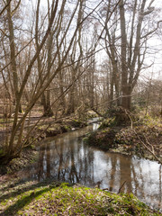 Fototapeta na wymiar inside forest stream running water spring nature landscape