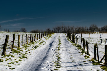 Waldweg winter