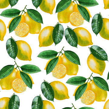 Ripe lemons Watercolor set. Citrus pattern on white background. Design elements for background, banner,holiday card design. Hand painting artistic texture