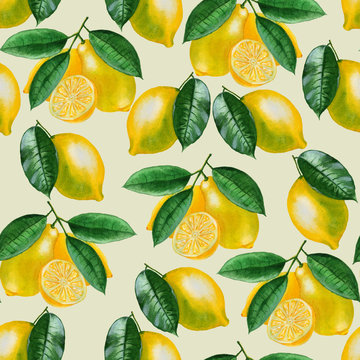 Ripe lemons Watercolor set. Citrus pattern on light green background. Design elements for background, banner,holiday card design. Hand painting artistic texture