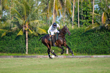 polo player use a mallet hit ball in tournament.
