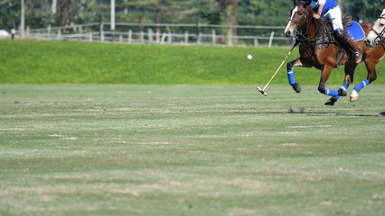 player ride a horse use a mallet hit a polo ball.