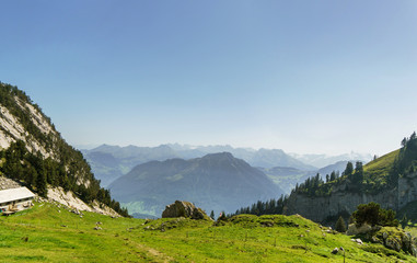 Fototapeta na wymiar Alpine landscape with green meadow and mountains near Luzern, Switzerland.