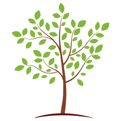 Fototapeta na wymiar Abstract design of green eco tree icon with plenty green leaves