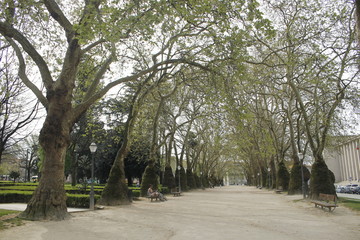 Trees walkthrough