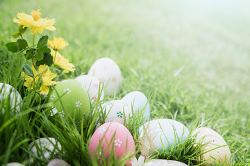 Fototapeta premium Happy easter! Closeup Colorful Easter eggs in nest on green grass field during sunset background.