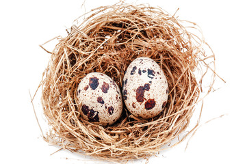 Naklejka na ściany i meble two quail eggs in the nest on white