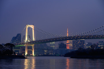 Fototapeta premium レインボーブリッジの夜景