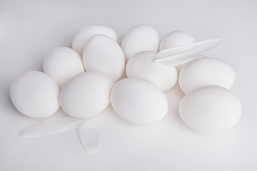 eggs on white background