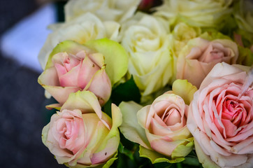 summer flowers close up view