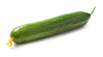 Cucumber isolated on white