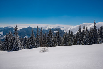 Magic sunny day in the winter mountains