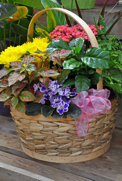 Wicker basket filled with colorful flowers and plants