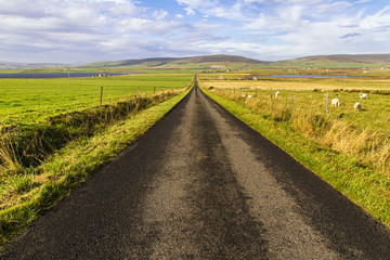 Fototapeta na wymiar Long straight road with open fields to the sides, Orkney Island, Scotland, United Kingdom.
