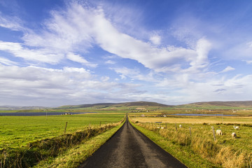 Long straight road with open fields to the sides, Orkney Island, Scotland, United Kingdom.