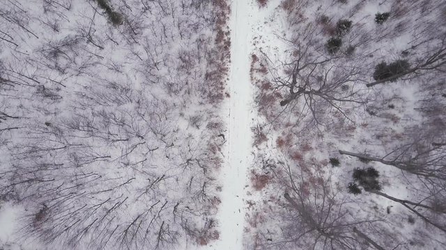 Flying above white winter forest road, top view drone aerial footage, camera moving from top to bottom. Inspiring winter concept. Gimbal stabilized footage. Shot with 4K DLOG.