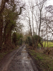 muddy pathway road through countryside tracks puddles spring