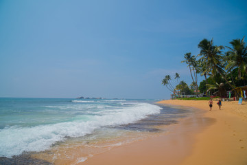 Palm trees on the shore of the Indian Ocean on the beach in Hikkaduwa, Sri Lanka.