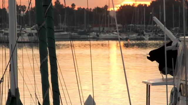 Single scull passing through California marina at dawn