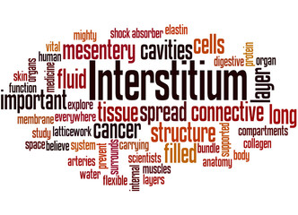 Interstitium (new organ discovered in human body) word cloud
