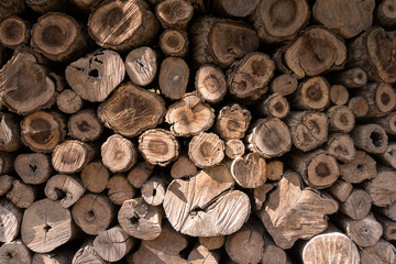 Pile of wood logs background