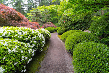 Stroling Garden Path in manicured Japanese Garden