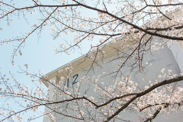 建物と数字
