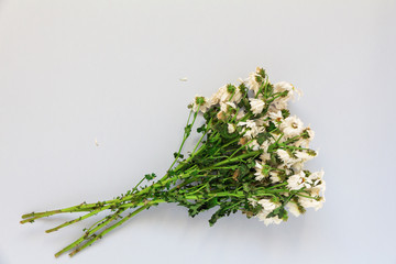 wilted bouquet of white chrysanthemums