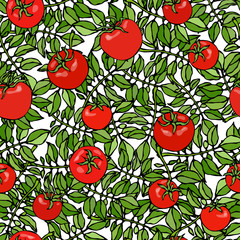 Seamless Pattern of Bunch Cherry Tomatoes on a Branch With Leaves. Botanical Gardening Illustration. Ketchup Logo or Vegetable Salad. Realistic Hand Drawn Vector Illustration. Savoyar Doodle Style.