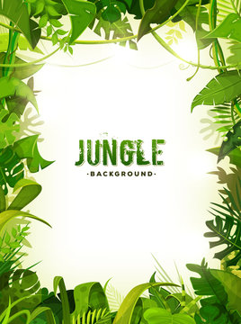 Jungle Tropical Leaves Background