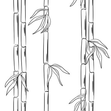 vector contour bamboo element vertical  pattern with leaves
