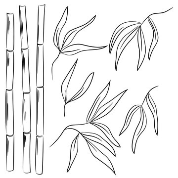 vector contour bamboo element set