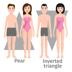 Vector illustration of different body shape types characters standing beauty figure cartoon model.