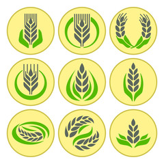 Fototapeta na wymiar Cereal ears and grains agriculture industry or logo badge design vector food illustration organic natural symbol