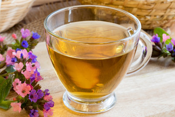 A cup of lungwort (pulmonaria) tea with fresh lungwort flowers