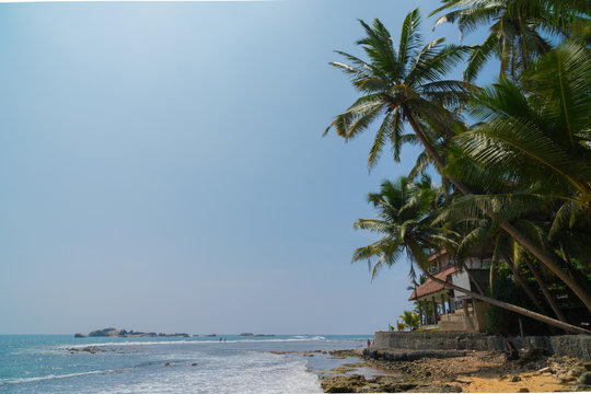Palm trees on the shore of the Indian Ocean on the beach in Hikkaduwa, Sri Lanka.