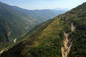 Terraced fields near Chhomrong, Annapurna Conservation Area, Himalayas, Nepal 