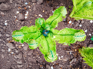 Fototapete bei efototapeten.de bestellen   