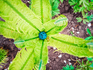 Fototapete bei efototapeten.de bestellen   