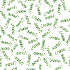 Seamless pattern with green eucalyptus branches on white background. Hand drawn watercolor illustration.