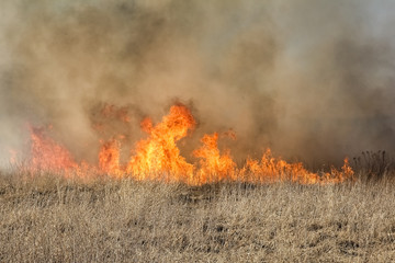 dry grass fire in early spring