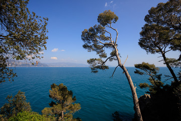 paesaggio da Portofino